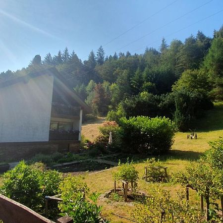 Pension Ernst Im Herzen Des Pfaelzerwaldes Mit Kueche Hotel Elmstein Екстериор снимка