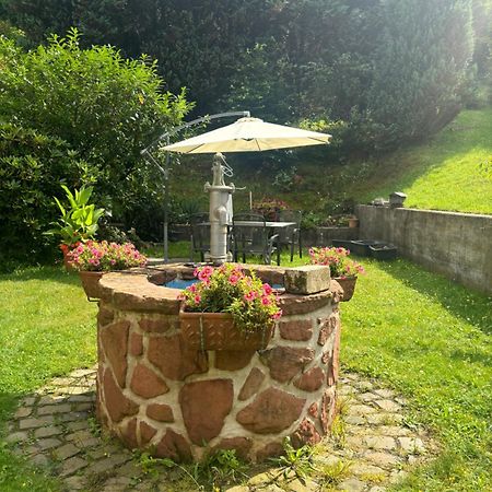 Pension Ernst Im Herzen Des Pfaelzerwaldes Mit Kueche Hotel Elmstein Екстериор снимка