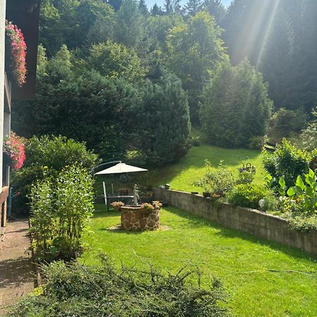 Pension Ernst Im Herzen Des Pfaelzerwaldes Mit Kueche Hotel Elmstein Екстериор снимка