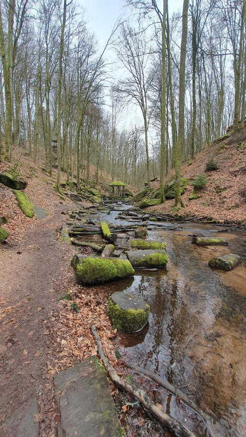 Pension Ernst Im Herzen Des Pfaelzerwaldes Mit Kueche Hotel Elmstein Екстериор снимка