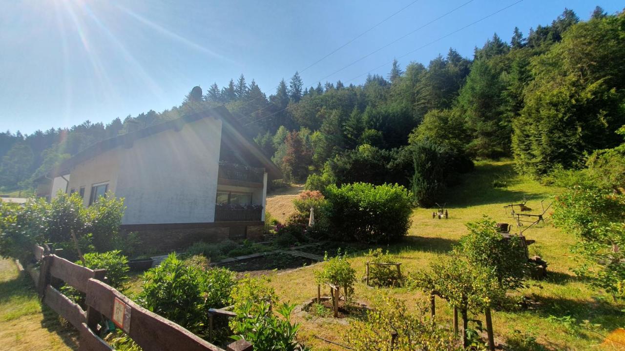 Pension Ernst Im Herzen Des Pfaelzerwaldes Mit Kueche Hotel Elmstein Екстериор снимка