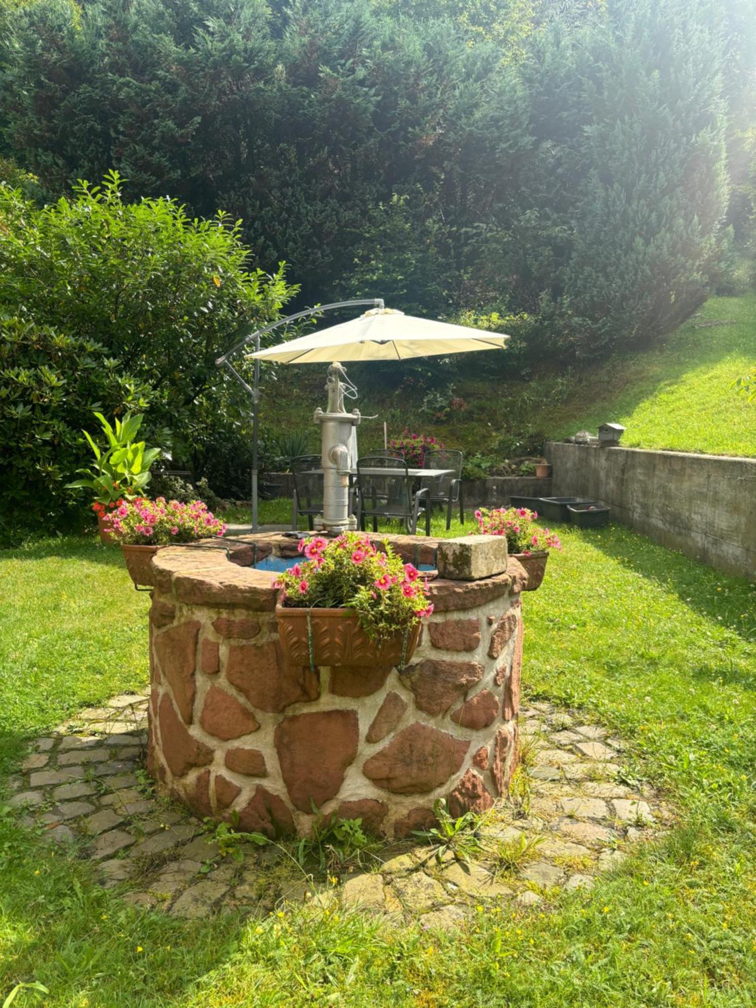 Pension Ernst Im Herzen Des Pfaelzerwaldes Mit Kueche Hotel Elmstein Екстериор снимка