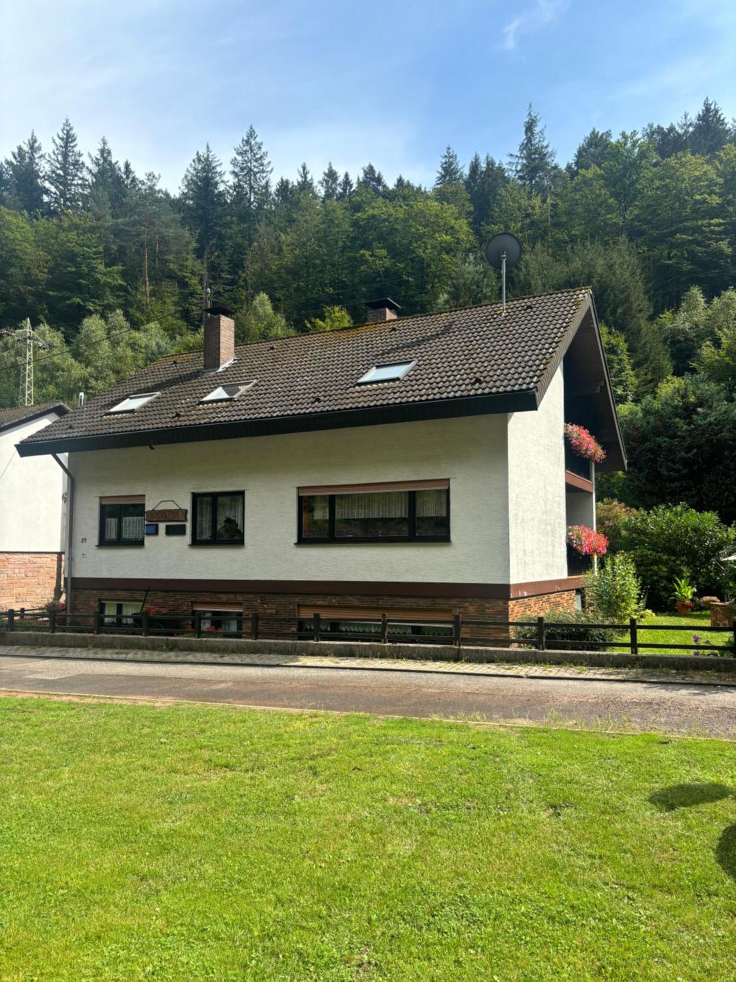 Pension Ernst Im Herzen Des Pfaelzerwaldes Mit Kueche Hotel Elmstein Екстериор снимка